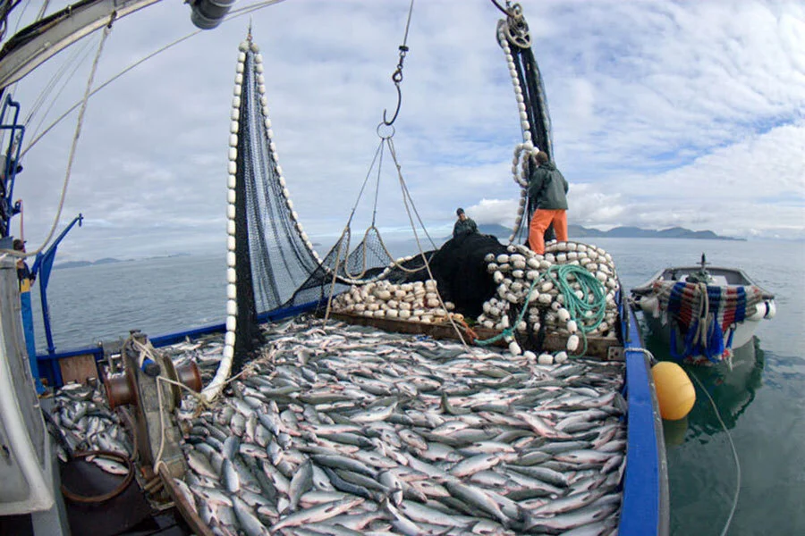 Nación evalúa incluir la pesca en las sanciones por actividades vinculadas a Malvinas