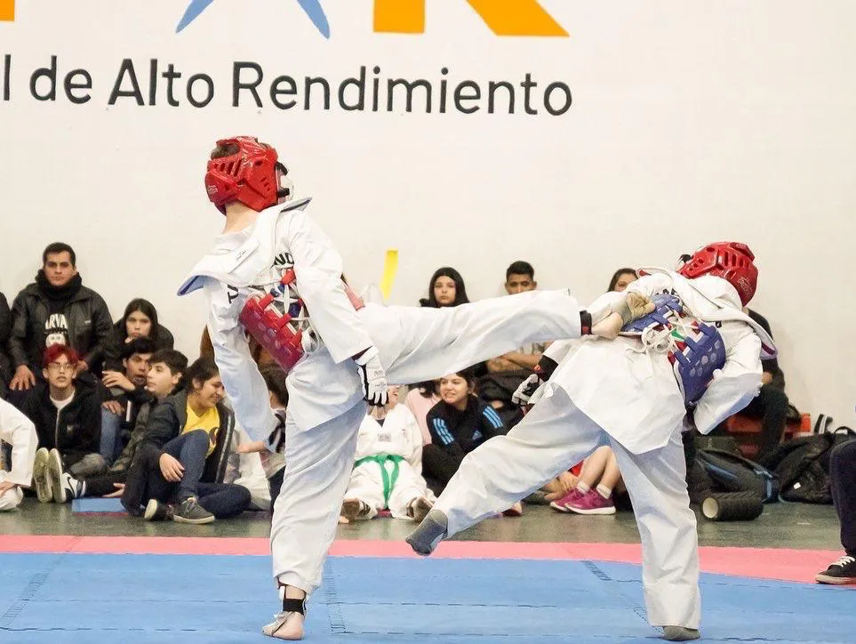 photo_4918460139674120023_y