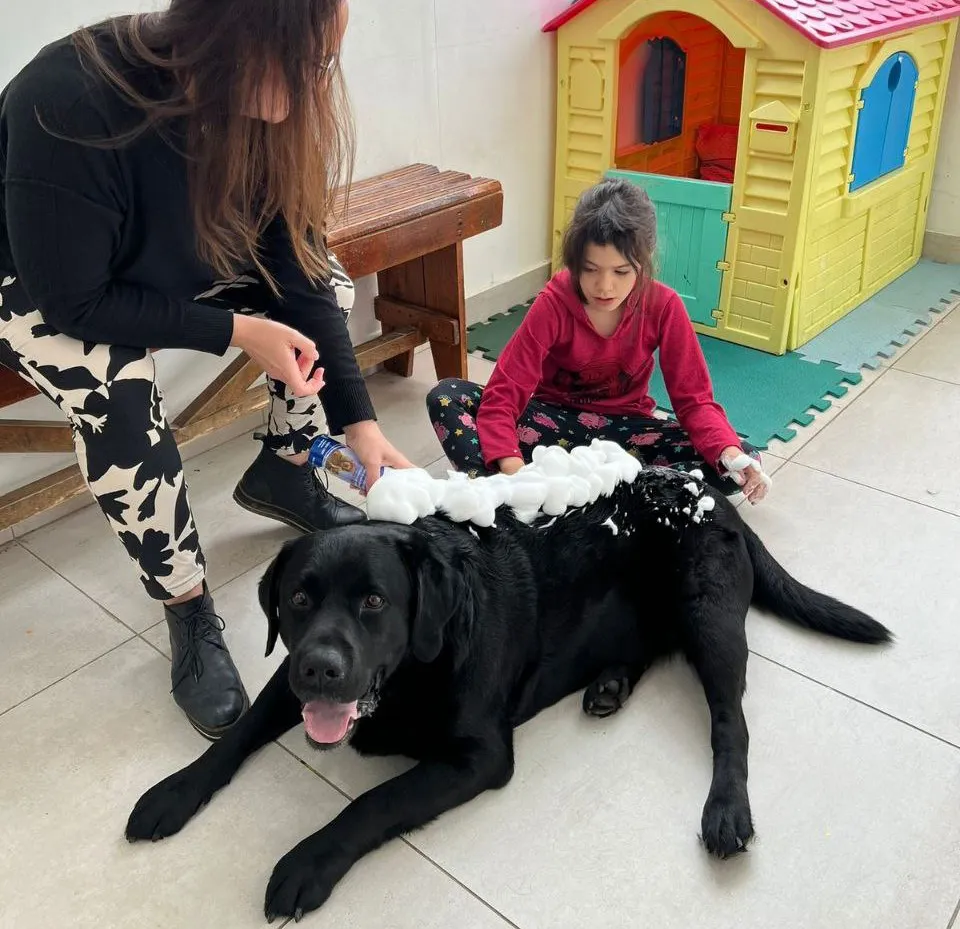 Se encuentran abiertas las inscripciones para participar de la Terapia Asistida con Perros