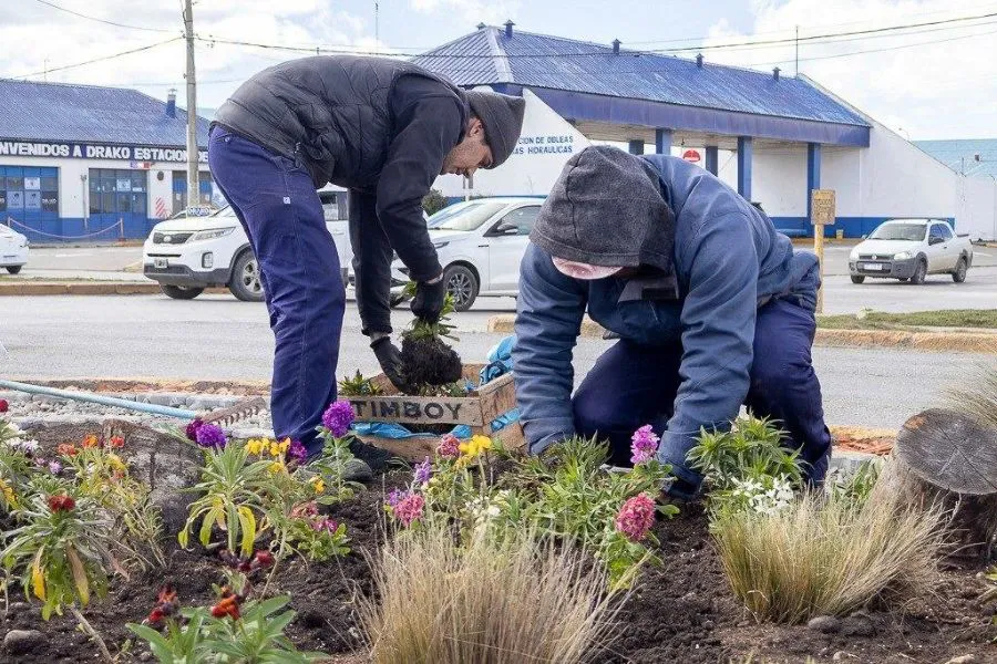 photo_5166070231267478412_y