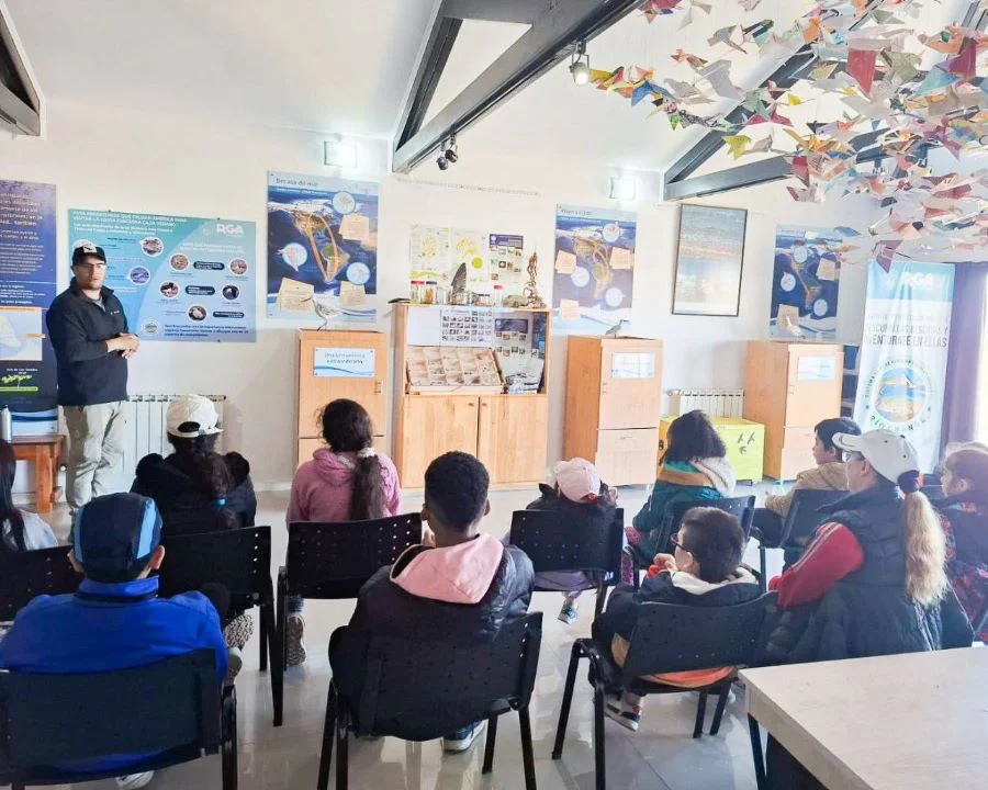 photo_5064795160125836122_y