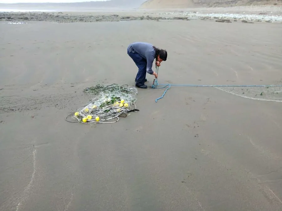 photo_4936447226486567337_y