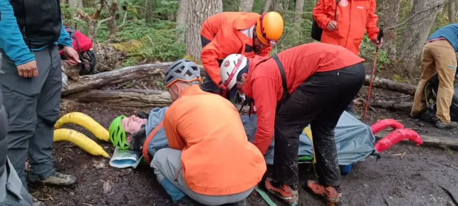 photo_4920581806273703459_y