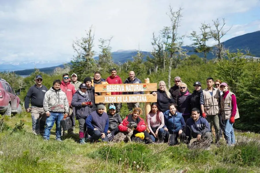 photo_5030793364332284674_y