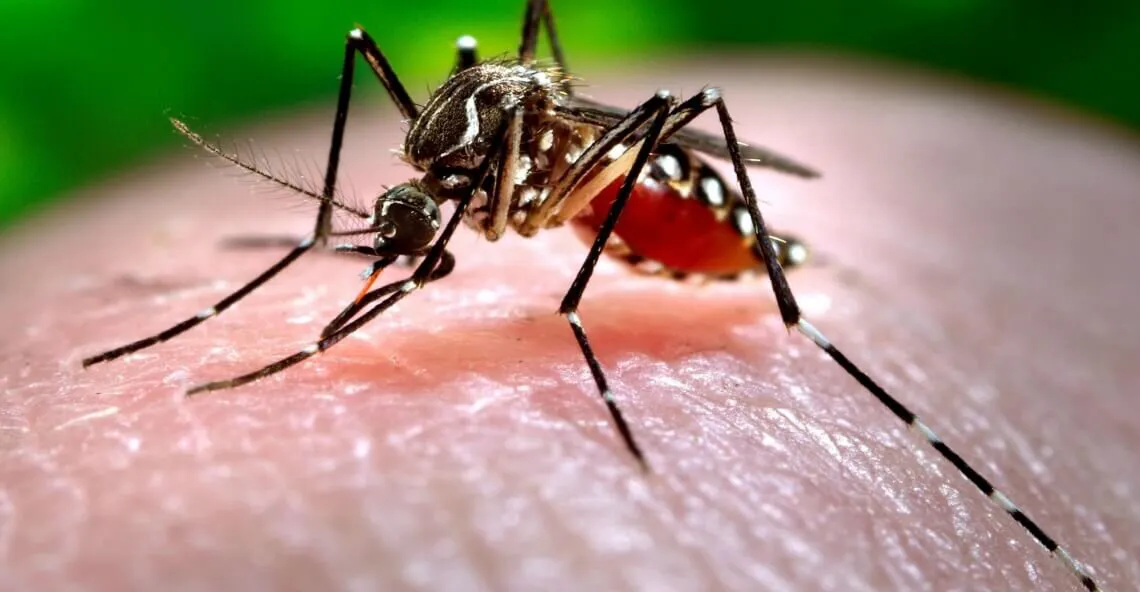 Se analizó la problemática del “Dengue” en la reunión del Consejo Federal de Salud