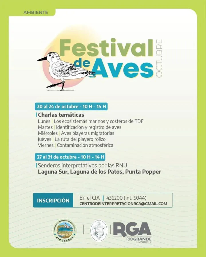 photo_5095868312209525684_y