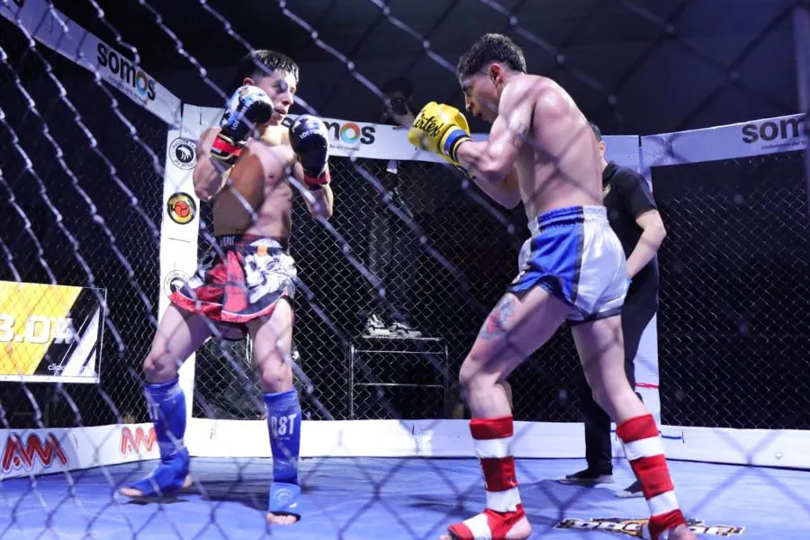 photo_5102774164351200780_y