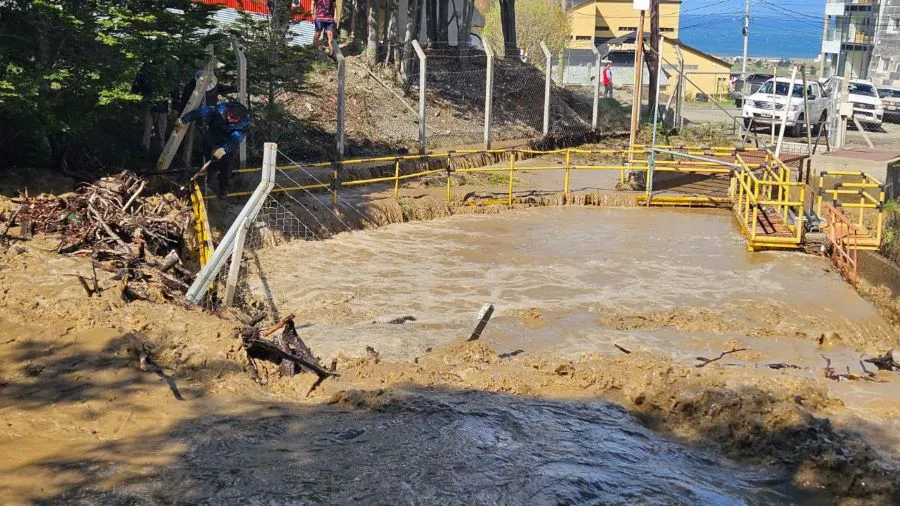 photo_4938664138284665610_y