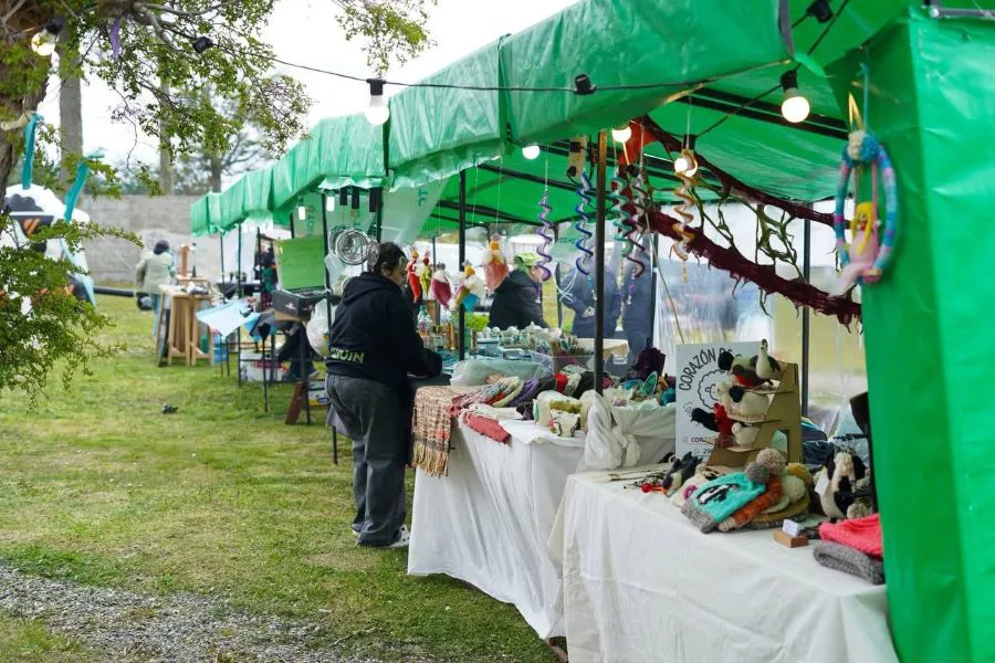 photo_4981309594416122655_y