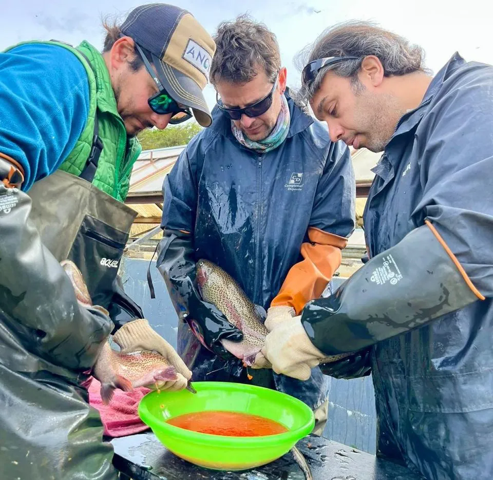 photo_5044566998029282660_y