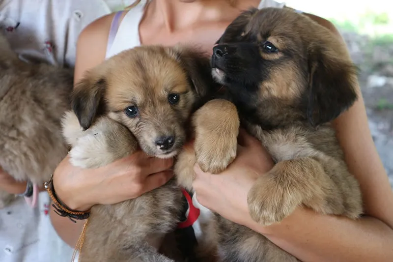 WhatsApp Image 2025-04-26 at 14.18.42