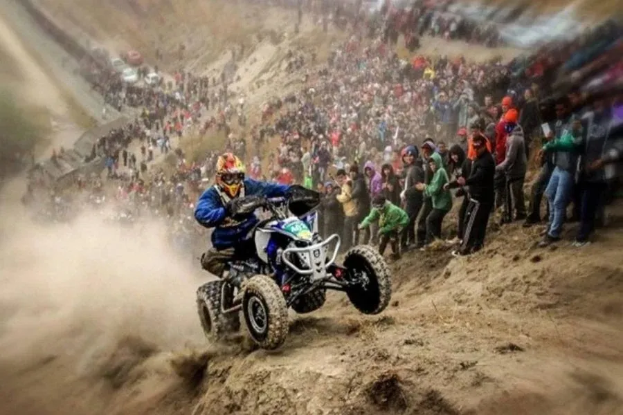 WhatsApp Image 2025-01-30 at 19.57.39