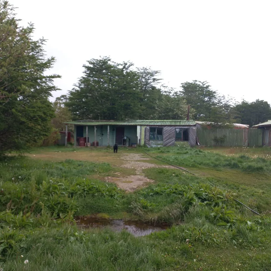 photo_5102831454919962239_y