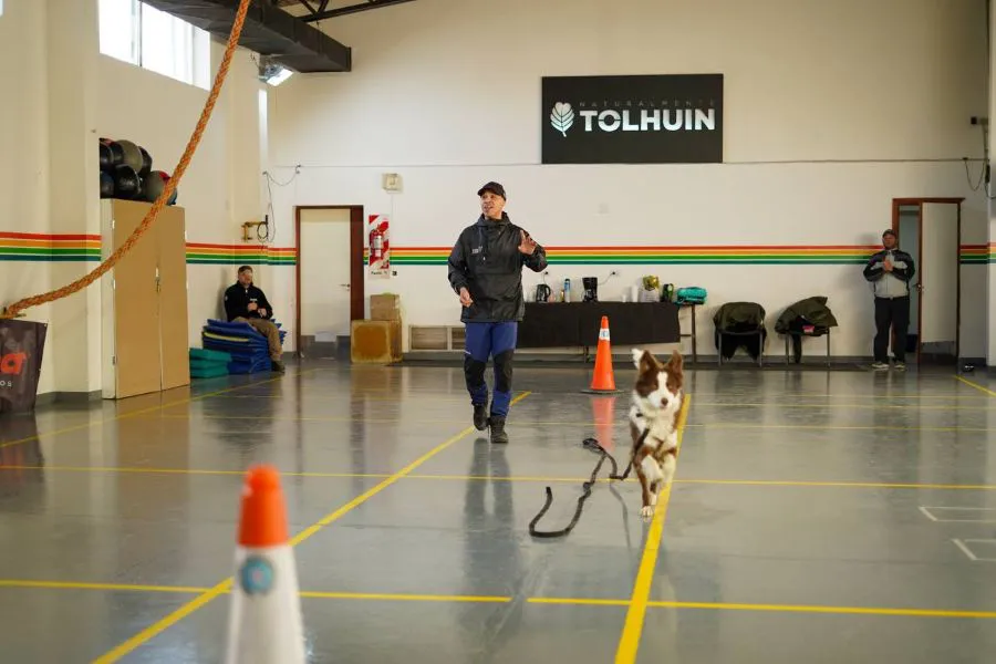 photo_5087136776836984568_y