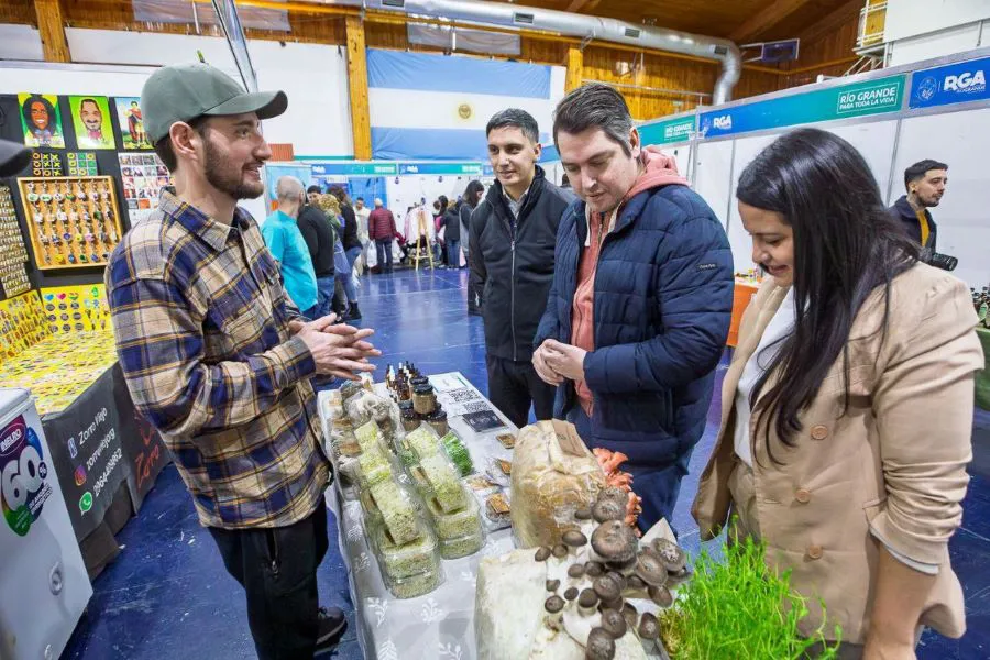 photo_5082385671129247432_y