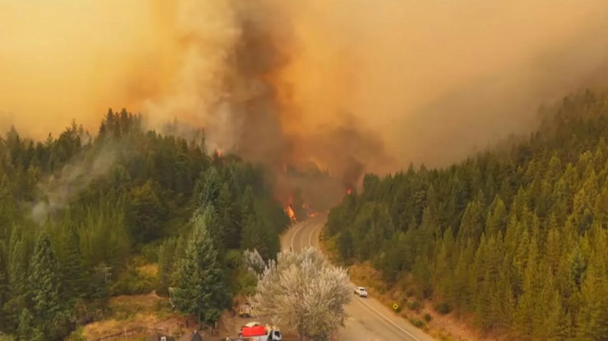 751ad101-2e54-425d-9431-3b83d320c9e8