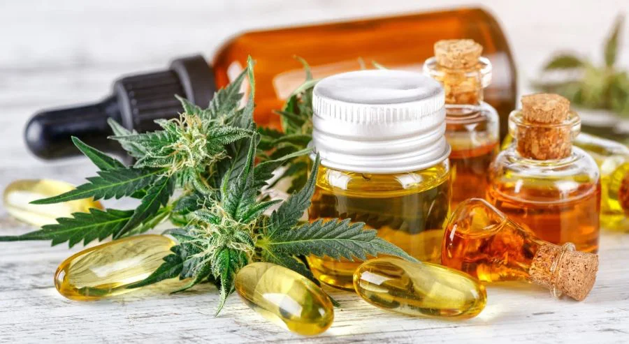La provincia trabaja en el primer protocolo de calidad para Cannabis Medicinal