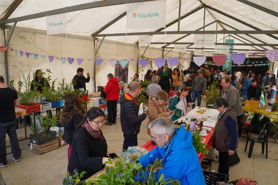 photo_4999441490345921334_y