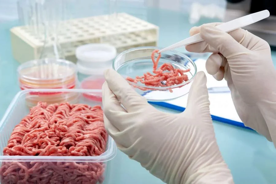 El Ministerio de Salud confirmó los casos de Triquinosis en Ushuaia