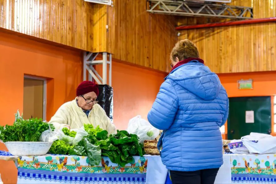 photo_5179377199587897472_y