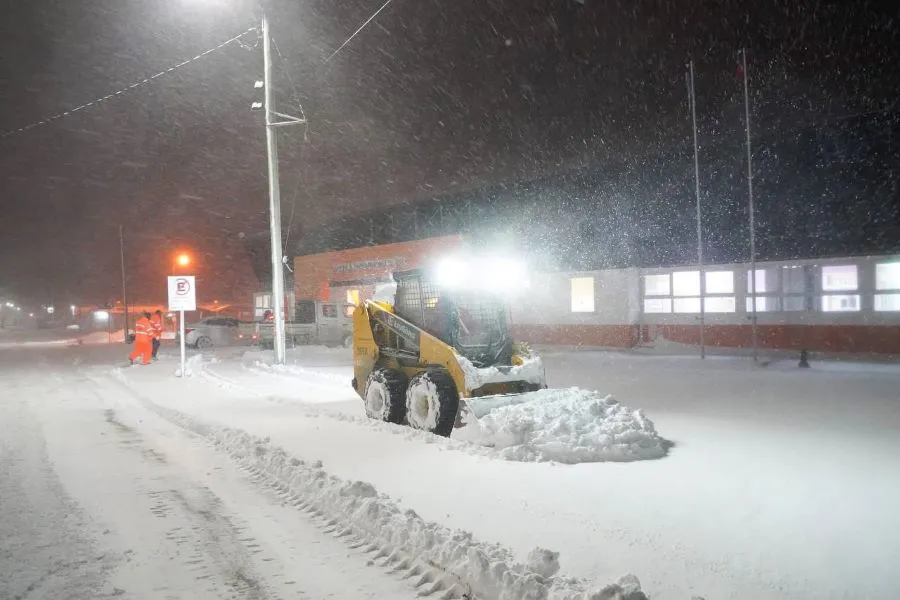 photo_4997284312952975222_y