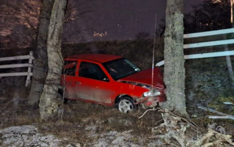 Conductor chocó contra un árbol tras despistarse camino al Martial