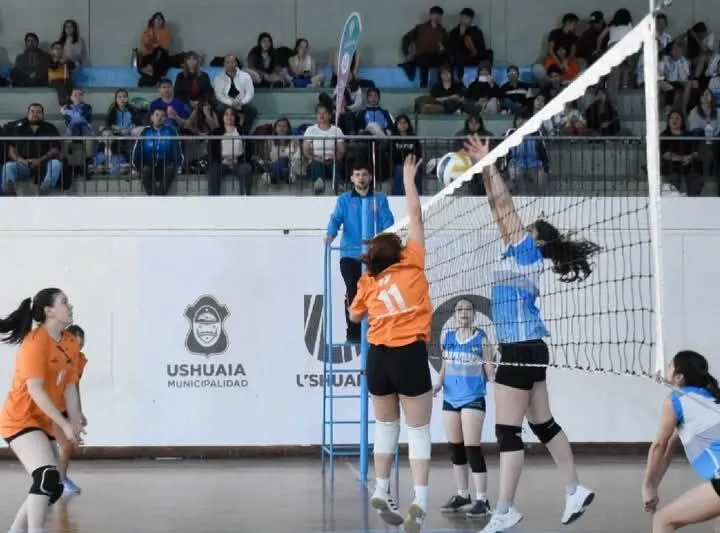 photo_4990412957984861522_y