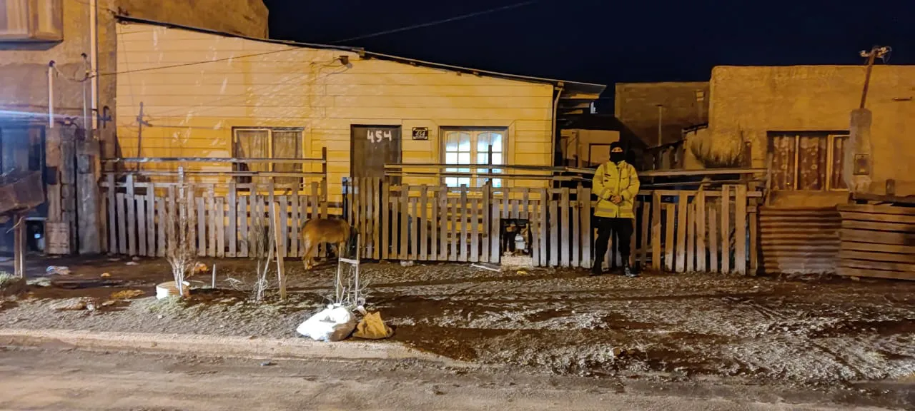 Se realizaron siete allanamientos por un robo que quedó registrado por una cámara (3)