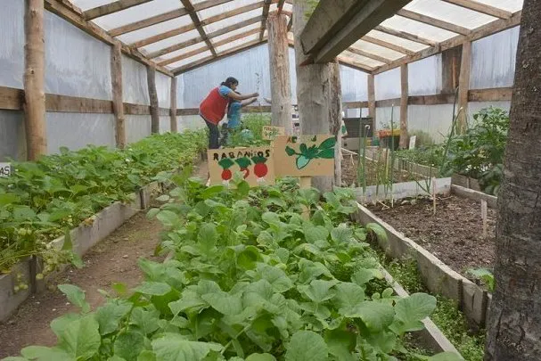 imagen_de_una_huerta_fueguina_1693573532