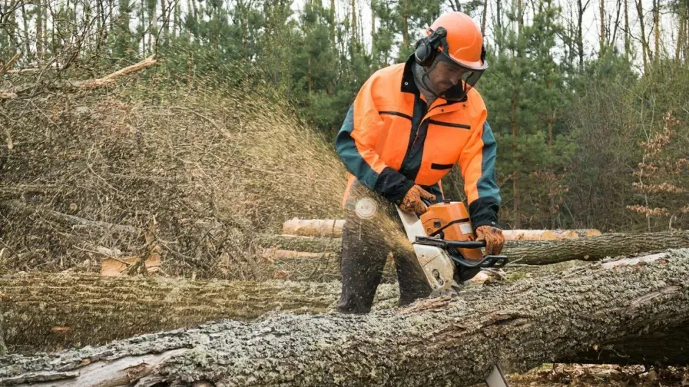 Imagen de WhatsApp 2025-12-07 a las 18.53.39_7d33b4b3