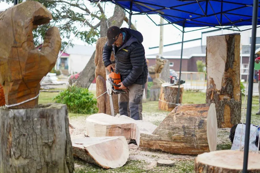 photo_5039569524411271940_y