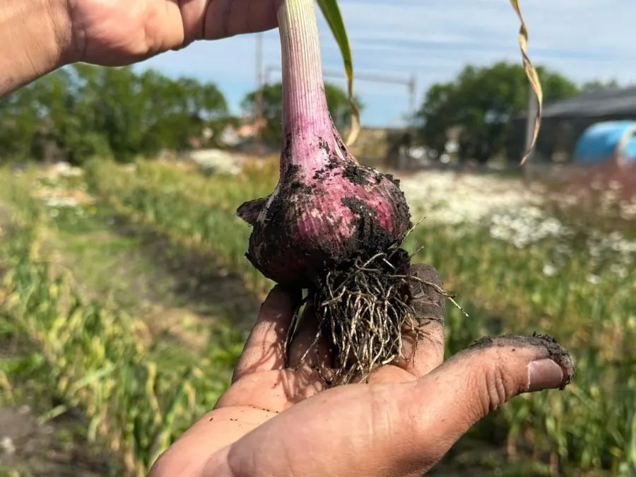 photo_4945095314939513891_y