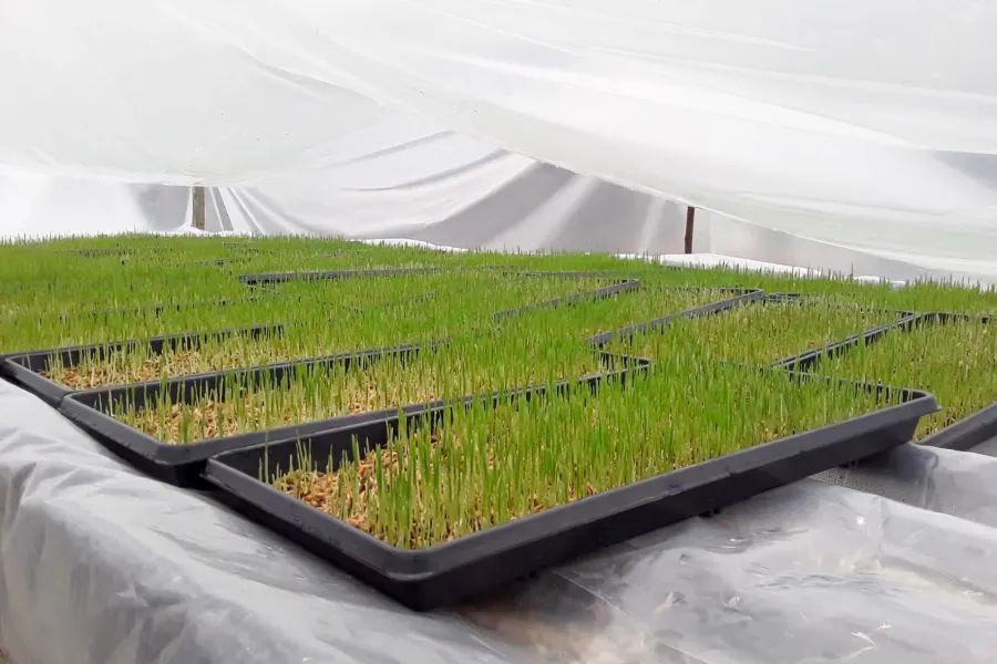 photo_5107642466831543828_w