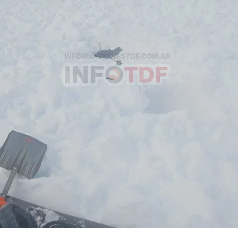 Imagen de WhatsApp 2025-06-29 a las 18.51