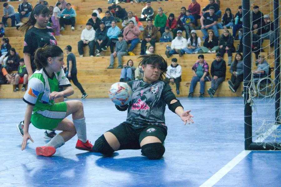 photo_5008534833755959982_y