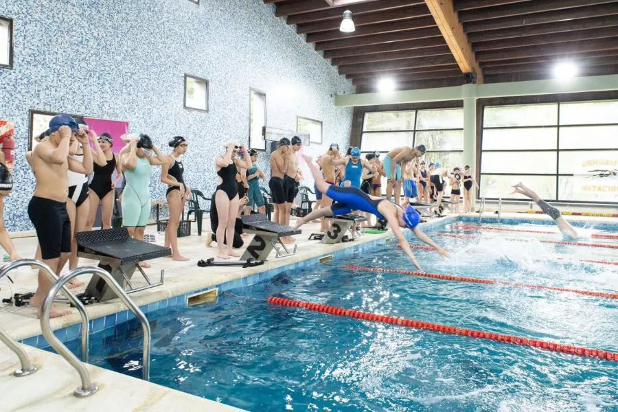 photo_4918037171298569031_y