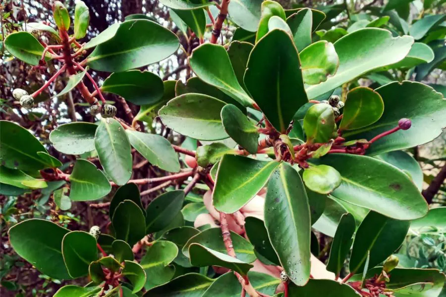 photo_5130041868036451833_y