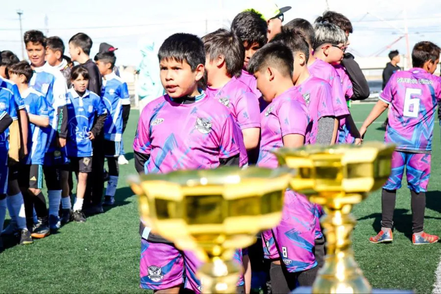 photo_4945099279194328134_y