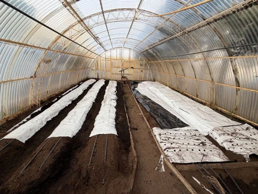 Se trabaja en la puesta en marcha de la Chacra Agroexperimental ‘Germán Asencio’
