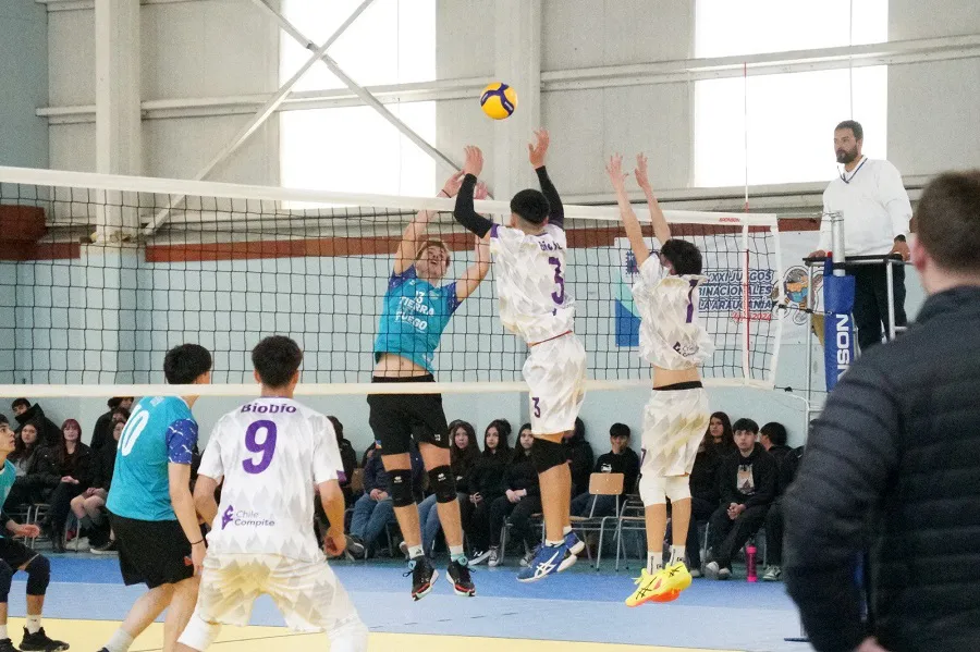 Tierra del Fuego logró la primera medalla de oro en los Juegos de la Araucanía (5)