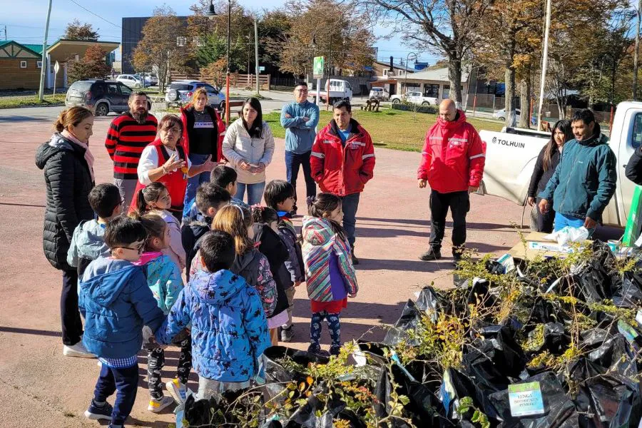 photo_5161633422672768518_y