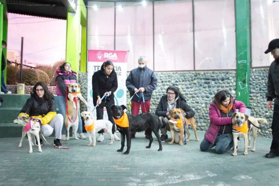 photo_5177186229396025231_y