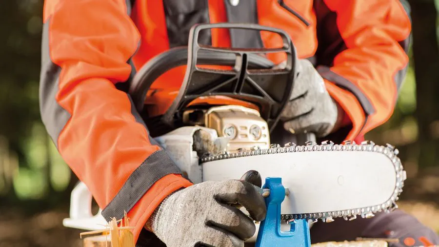 awf_saegeblatt_fixieren_CONTENT_IMAGE