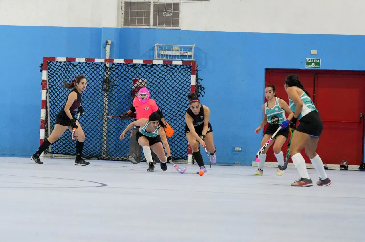 Clubes y asociaciones deportivas podrán utilizar los espacios deportivos municipales