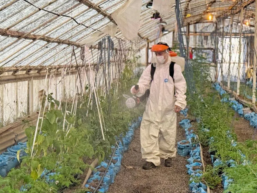 photo_5037441295097900892_y