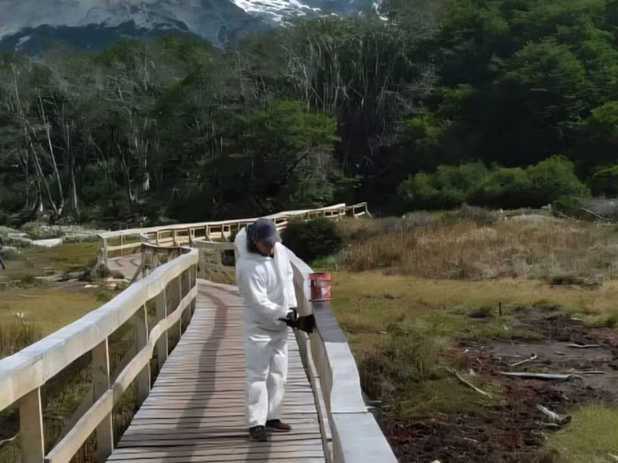 photo_5005765258458631091_y