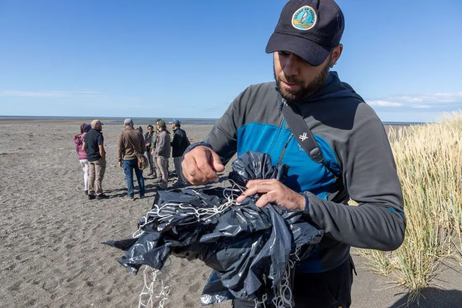 photo_4927166102811380746_y