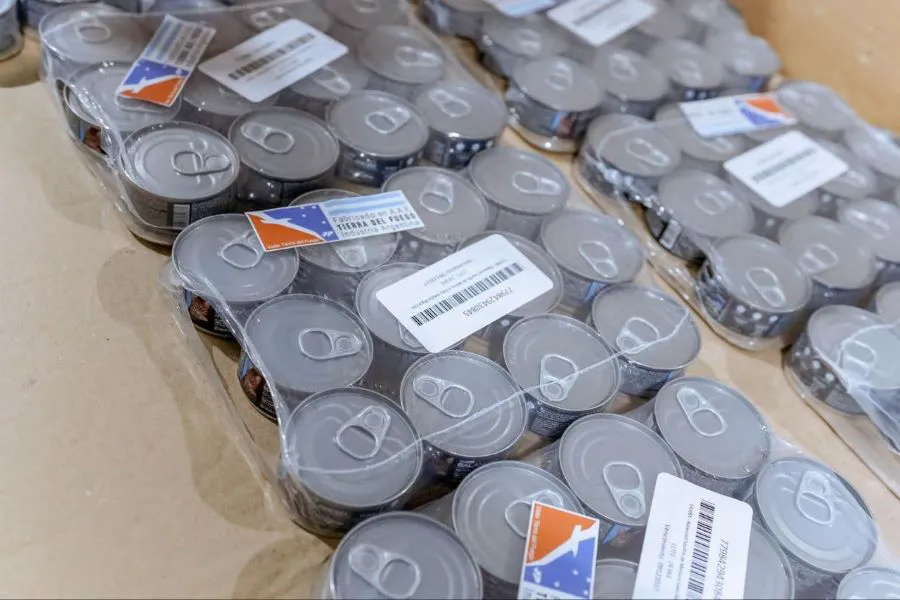 photo_5139156870970322385_y