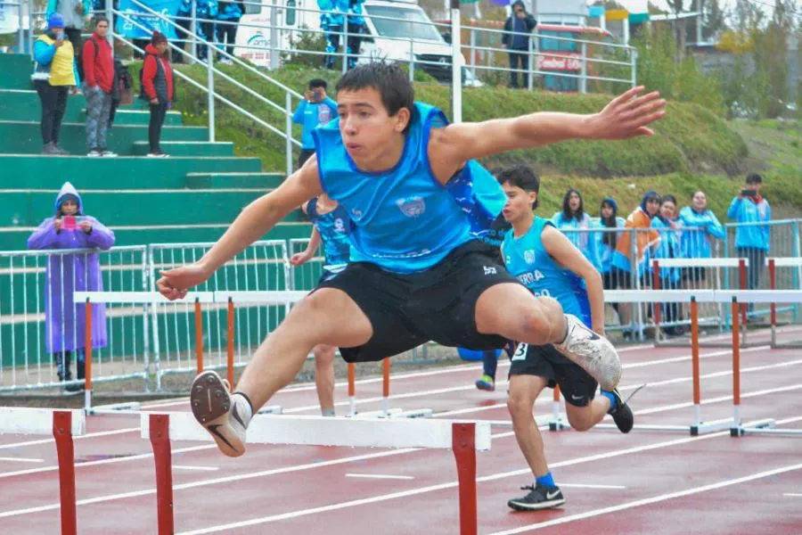 photo_4920594635341016666_y