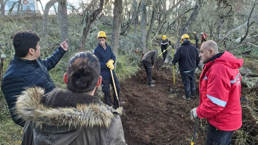 photo_4965644594553400560_y